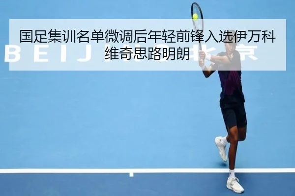 国足集训名单微调后年轻前锋入选伊万科维奇思路明朗